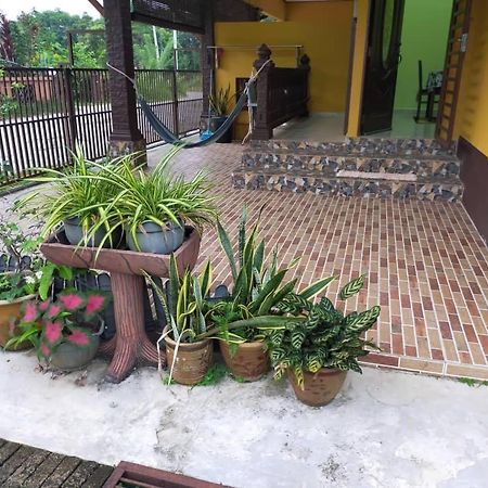 Rumah Tumpangan Di Kuala Terengganu, Terengganu Homestay D Exterior foto